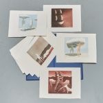 1140 1173 COLOR ETCHINGS